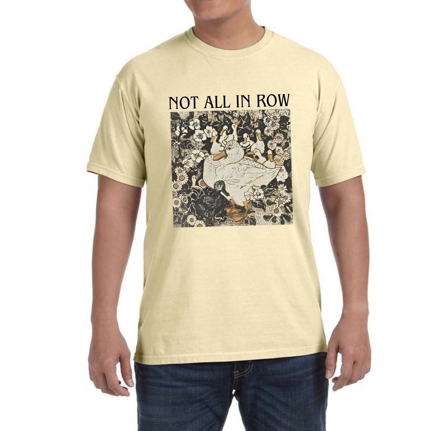 Ducks Not in a Row T-Shirt